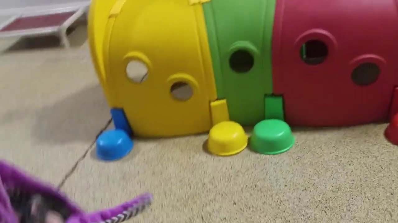 Small Dog Playtime at Dogs On The Farm Pet Resort! 5-20-26