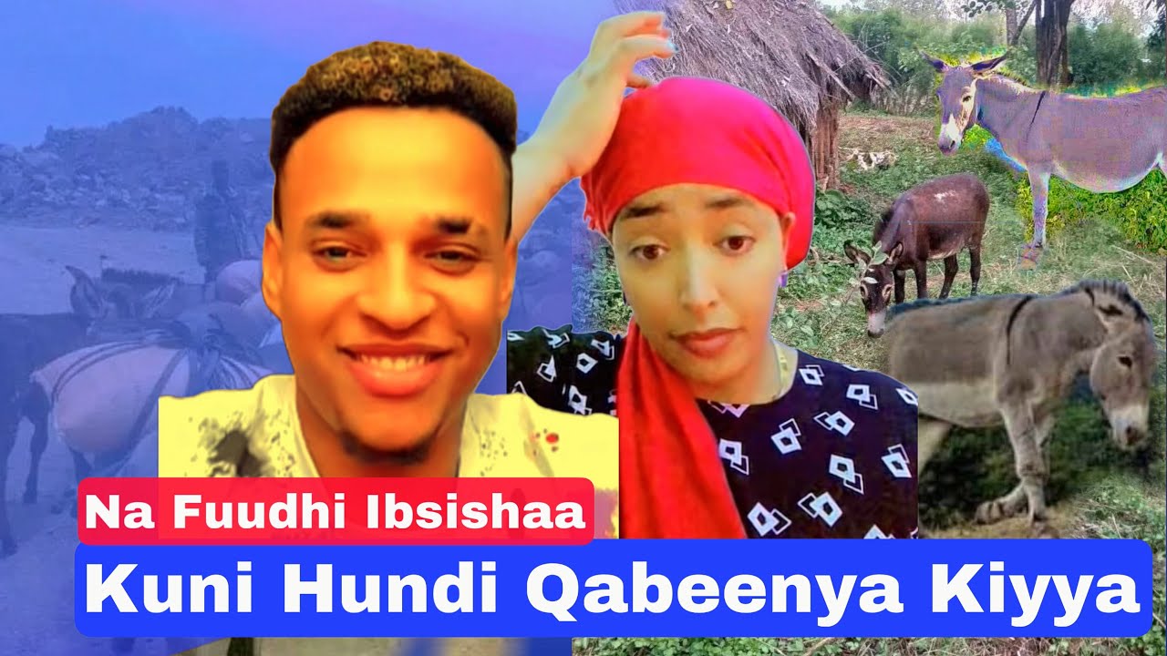 Nafuudhi Ibsishaa Kunoo Qabeenya Baayyee Qabna. Tapha Ibsishaa fi Haadha Faaxee