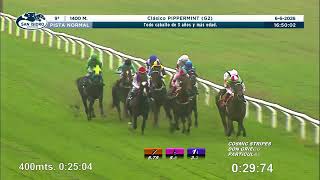 Vidéo de la course PMU PREMIO CLASICO PIPPERMINT