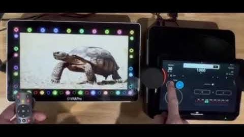 Compatibility of the Video VRA Pro and the Interacoustics EVO