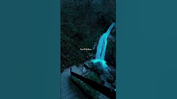 Thumbnail of Avicii- The Night #song #trending #lyrics 🥹