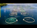The future of aquaculture. New fish farming technologies