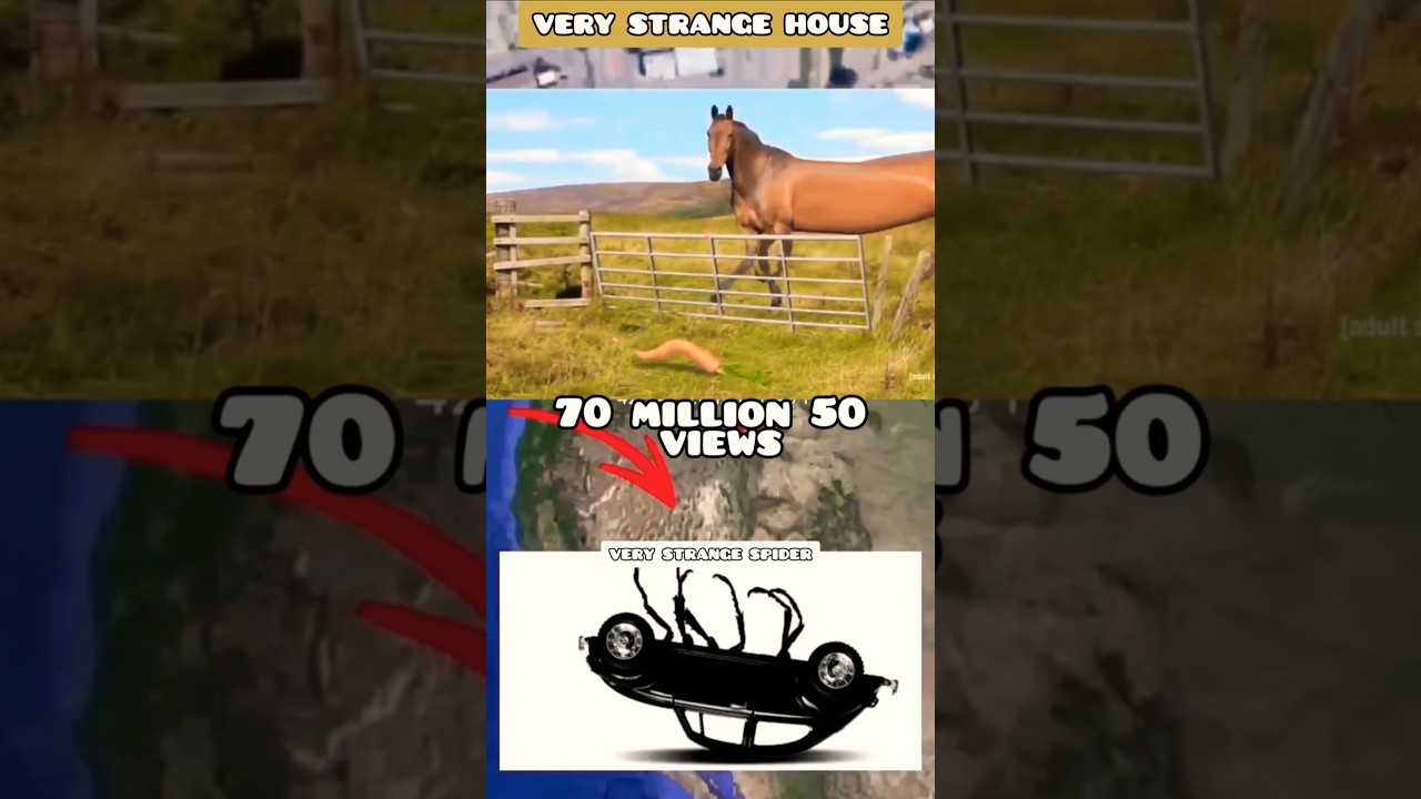 📍VERY STRANGE HORSE VS SPIDER 🔥 ON GOOGLE MAPS