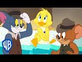 Tom y Jerry en Latino | Cuidadores de patos | WB Kids