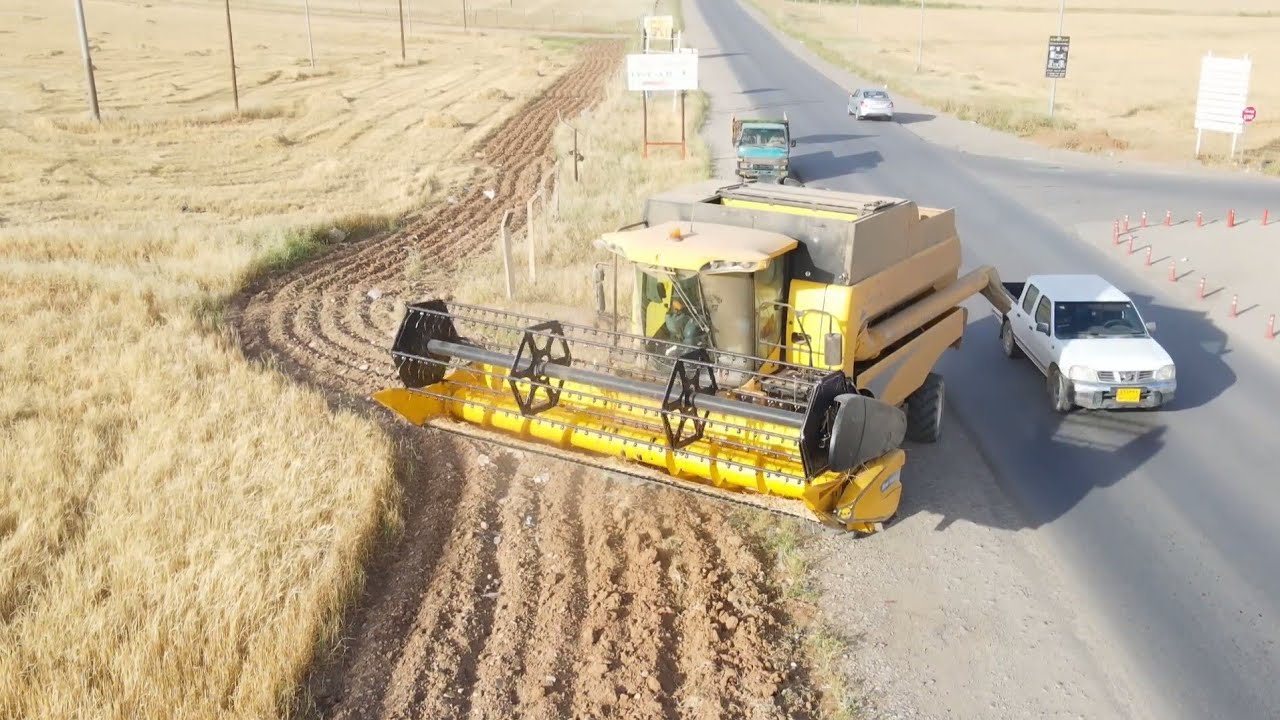 💛🌾✅️Barley harvest in Erbil✅️