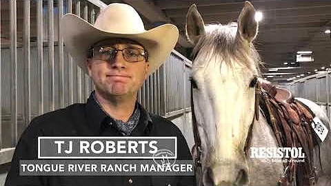 TJ Roberts