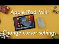 How to change cursor size and color on Apple iPad Mini || Apple iPad Mini