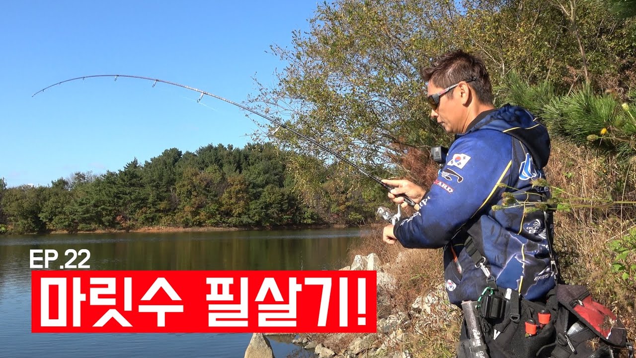 마릿수 필살기!! 언제 어디서나 마릿수가 가능??