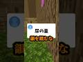 赤ちゃんがギネス記録達成。何をした？ #マイクラ #shorts