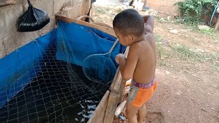 Tidak Usah Mancing, Disini Ikannya Tinggal Serok