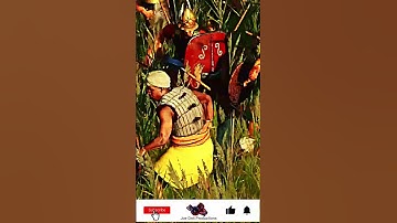 Brutal Javelin Throws to the Face! | Savage Rome 2