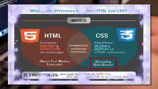 Difference between HTML & CSS #html #css
