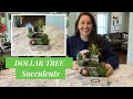 🪴SUCCULENT RISER🪴| Dollar Tree DIY