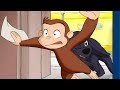 Jorge el Curioso en Español 🐵La Fotográfica de Jorge  🐵 Compilación 🐵 Caricaturas Para Niños