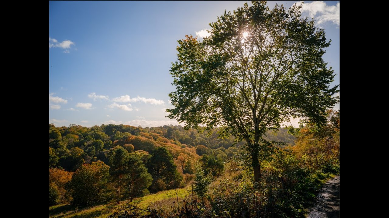 Roslin Glen - below Rosslyn Chapel - A Sacred Grove