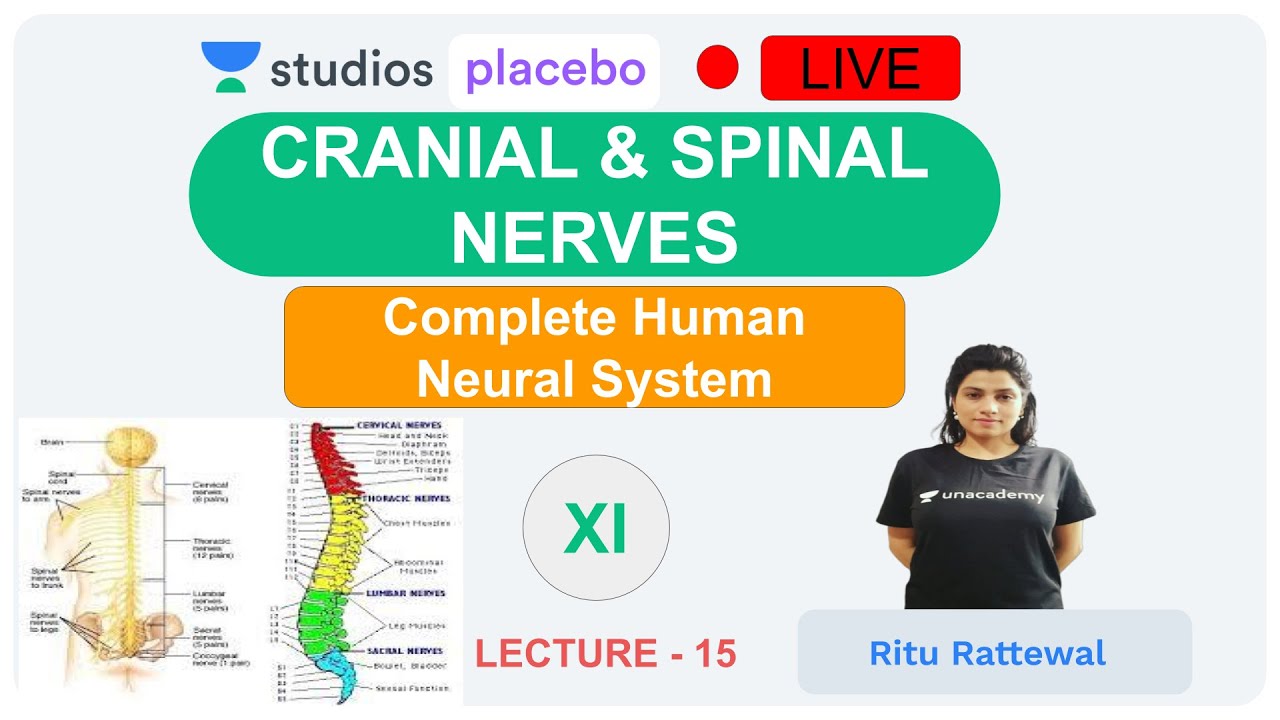 Phoenix 2.0: Biology Most Important Video for NEET 2025 | Udaan