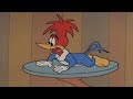 Served On A Platter 3 Hours Of Retro Cartoons Woody Woodpecker 