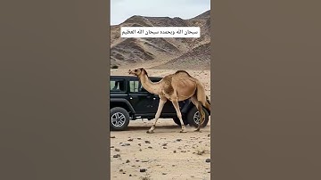 أللهم إجعل القرآن الكريم ربيع قلوبنا ونور صدورنا
