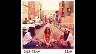 Video thumbnail of "Pale Crow - LIAM (Official Audio)"