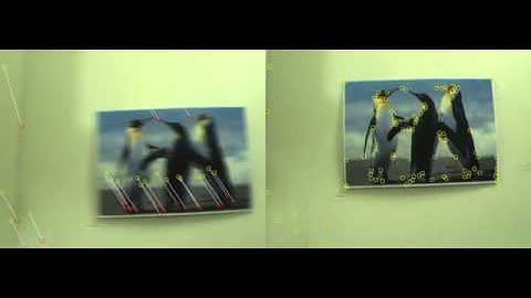 Optical Flow Tracking