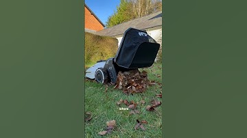 Meet my newest employee... 👀 @mammotiontech  Tech #Mammotion #YUKA #lawnmower #robot