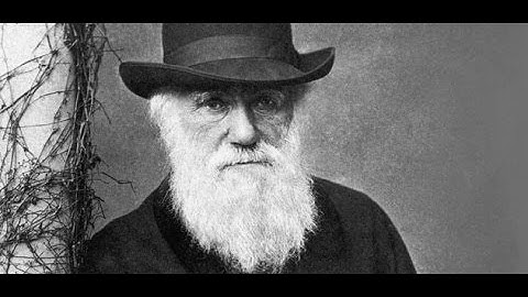Những điều Darwin không bao giờ biết