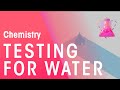Testing For Water | Chemical Tests | Chemistry | FuseSchool