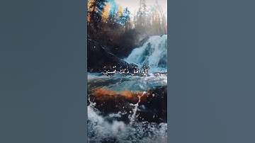 واتس اب قران كريم القارئ مشاري فالح (سوره الذاريات)