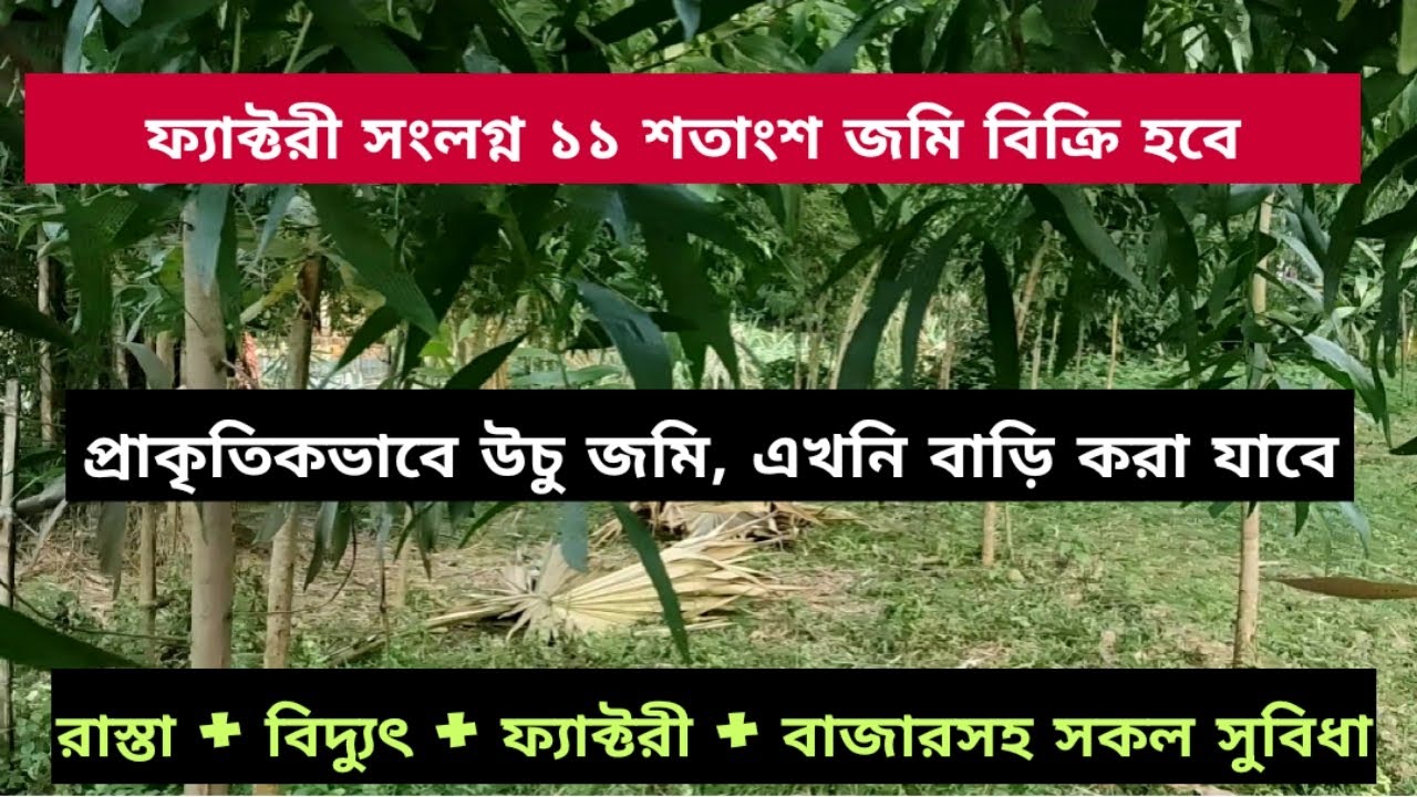 land sale in bangladesh জমি বিক্রি হবে jomi bikroy land sale land sell bproperty