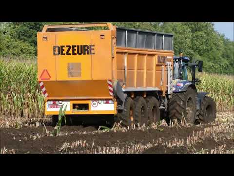 Ooms mais hakselen 2022 (3) in natte omstandigheden , Claas Jaguar 970 & Dezeure