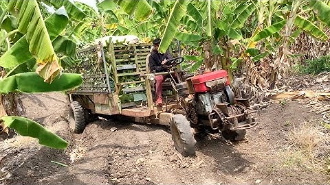 Phân 12 xe công nông 2 cầu chở chuối quá tải và cái kết