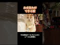 お水汲みができる猫。ワイングラスからマグカップまで、どんな容器でも絶妙な水加減で注ぎ分けることができます。