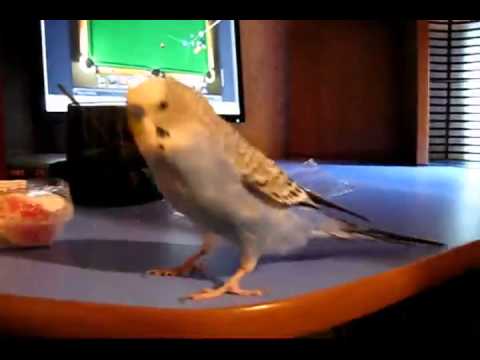 Полезная Информация