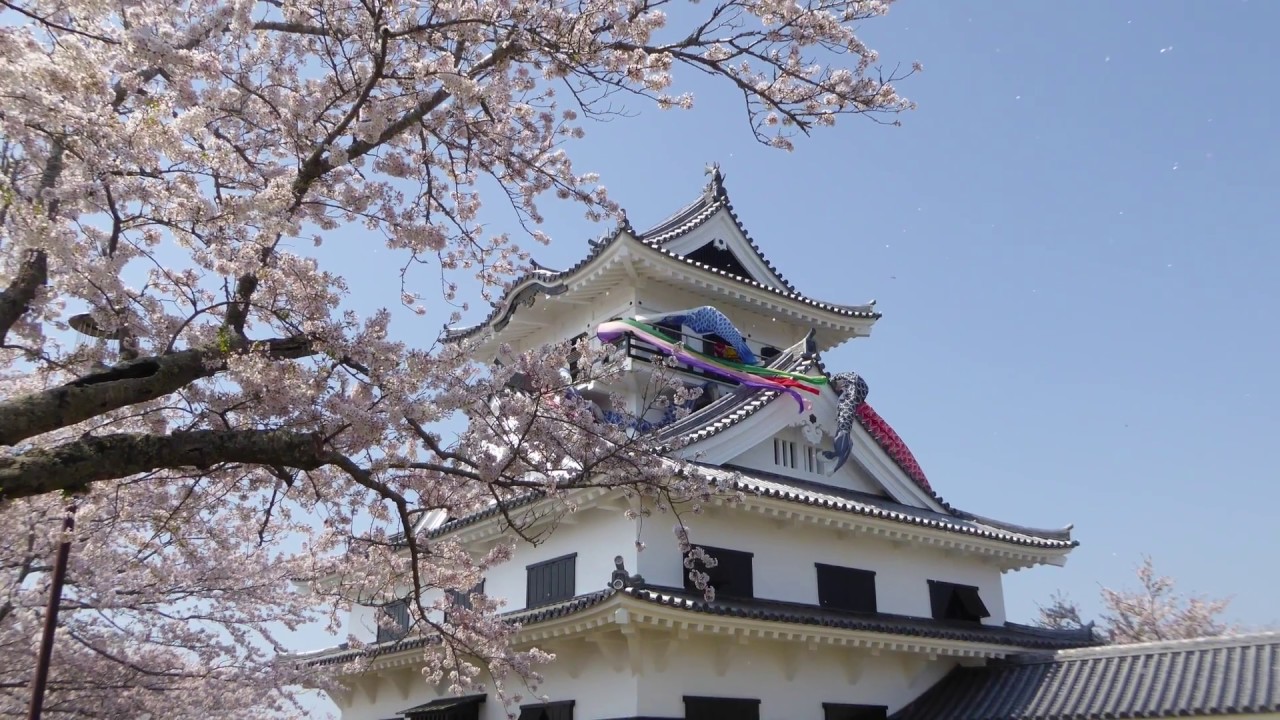 城山公園 館山城 空撮とvr 房総タウン Com
