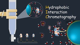 Hydrophobic interaction chromatography ( HIC) | Application of HIC