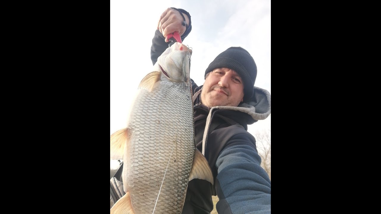 Голям Распер на р. Марица преди Забраната / Big Asp Catch - YouTube