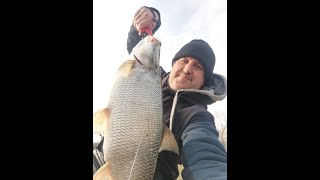 Голям Распер на р. Марица преди Забраната / Big Asp Catch