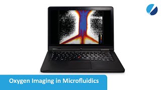 VisiSens - Oxygen Imaging in Microfluidics