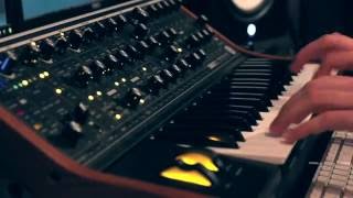 Get Your Synth Funk Jam On - Moog Sub37, Roland TR-8, Oberheim Matrix 1000, Waldorf Streichfett Demo