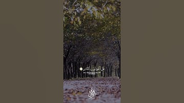 اجمل تلاوة رائعة جميلة🌿 القارئ#هاني_الرفاعي #سورة_الناس حالات واتساب مقاطع دينية قصيرة🌹🍃