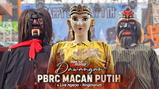 Terbaru !! Dawangan PBRC Macan Putih Live Ngerjo - Ringinarum