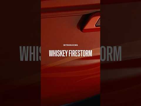 Whiskey Firestorm and Midnight Firestorm - Factory Custom Paint | Harley-Davidson #Shorts
