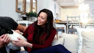 Paying for Vet Bills | Vet Tips with Dr. Primavera