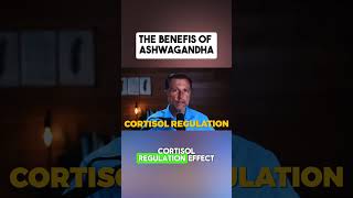 🛑 Feeling "Wired but Tired"? Your Cortisol is Calling the Shots.