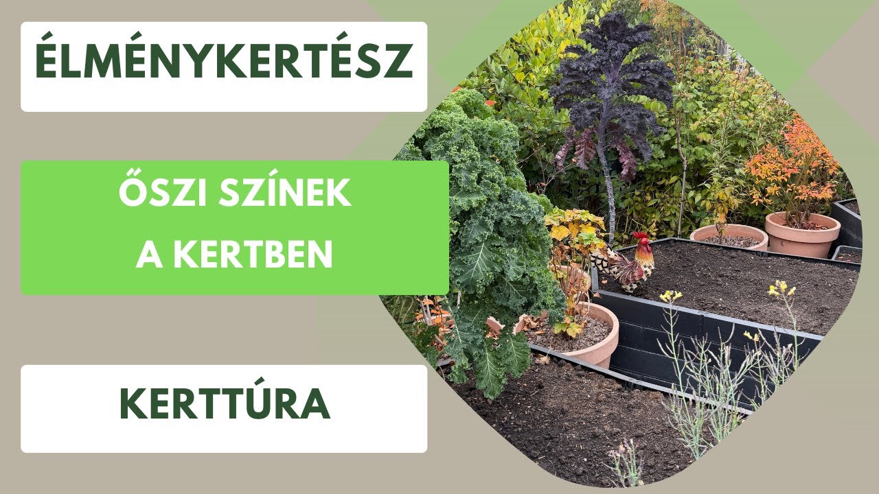 Nem hiszed el, milyen gyönyörűek a japán juharok ősszel!🍁