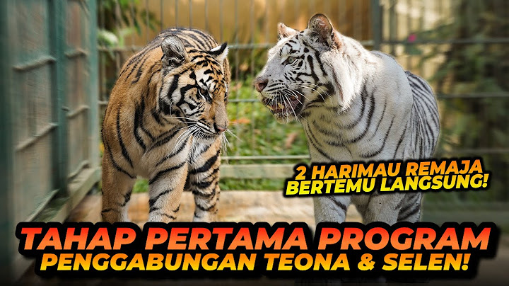 PROGRAM PENGGABUNGAN SELEN DAN TEONA ! CAKAR SELEN KALAH TAJAM DENGAN CAKAR TEONA ?!