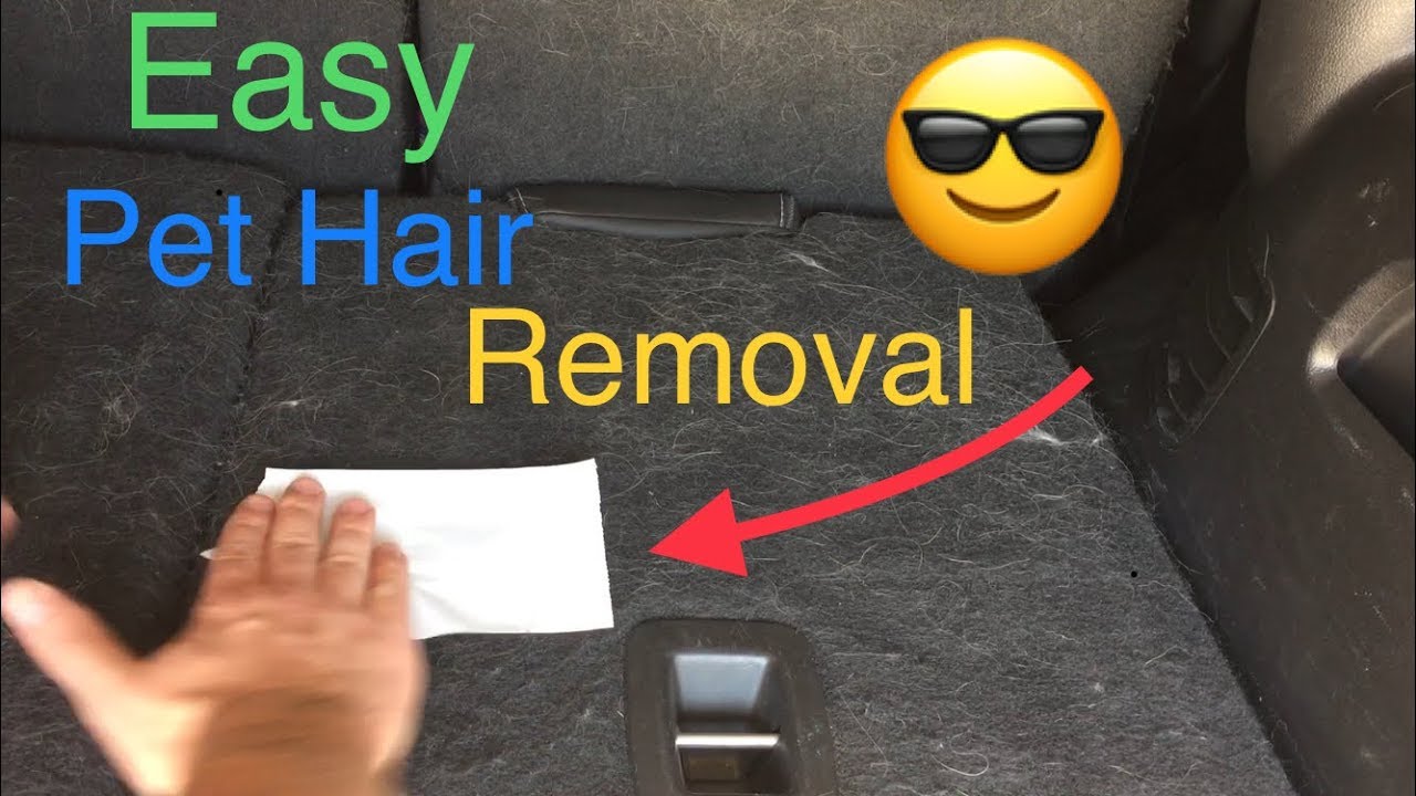 The BEST Dog Hair Removal Tools? Lily Brush or Cyclonic Pet Upholstery  Tool? #doghair #Dogfur 