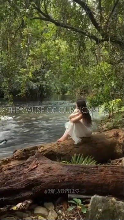 A MAGICAL song which soothes our soul ✨🍃🤍 #song #lyrics #naturevibes #aesthetic #peace #shorts #fyp