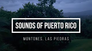 Escape to Nature: Tranquil Mountain Sounds of Puerto Rico in Montones, Las Piedras