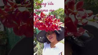 Stressfreeorchids #f #plantitasandplantitos #gardening flower